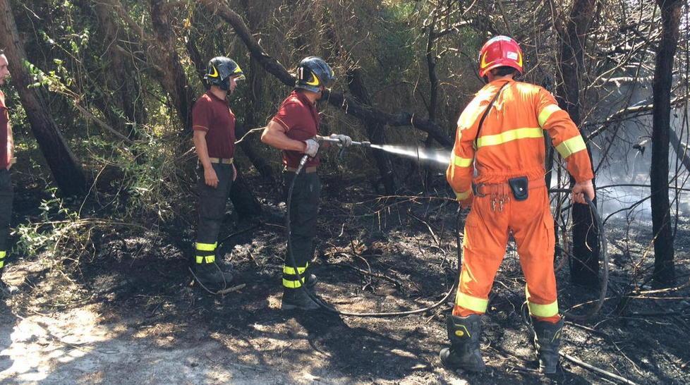 Fiamme in pineta, paura alle Spiagge bianche 