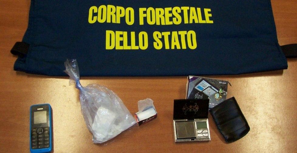 Droga nei boschi, blitz della Forestale 