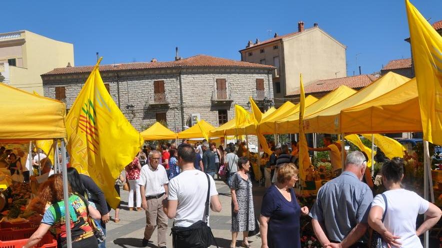 Consorzio bonifica vince la Coldiretti