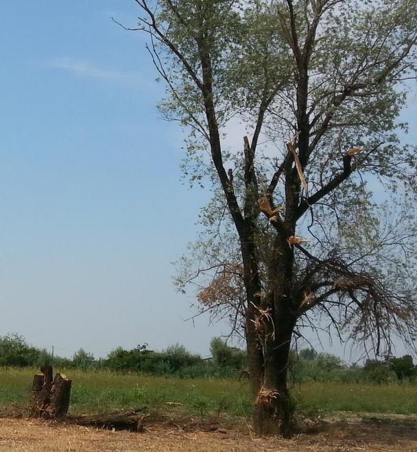 Un escavatore distrutto da un incendio doloso 