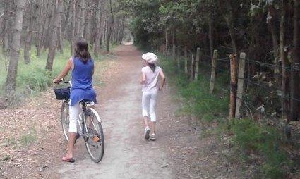 La “banda degli orologi” entra in azione 