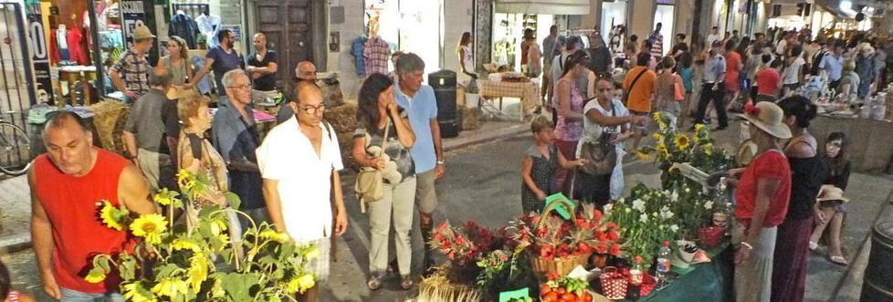 Successo di “Siamo tutti contadini”