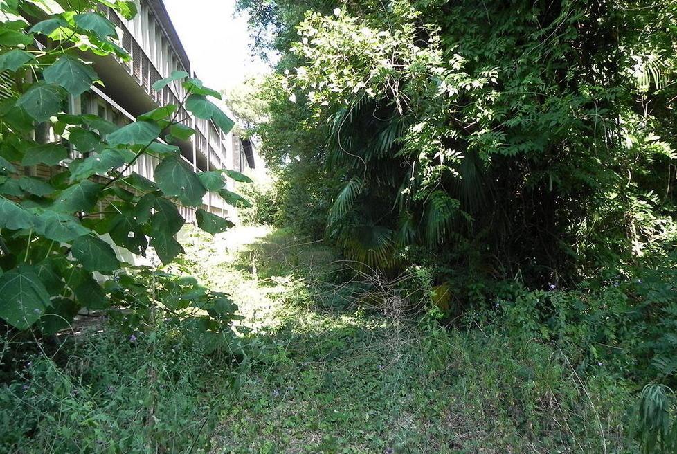 Solo boscaglia e sporco nei giardini del Genio civile
