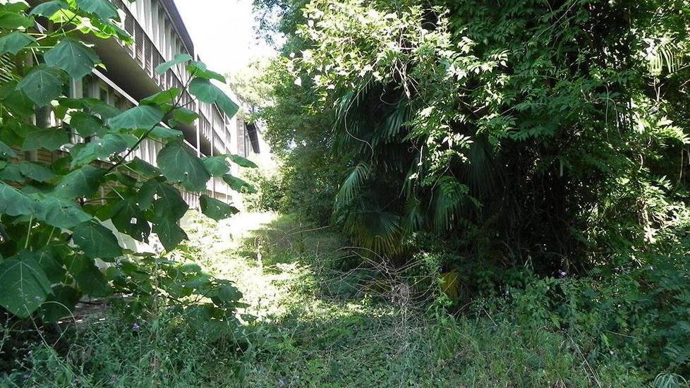 Solo boscaglia e sporco nei giardini del Genio civile