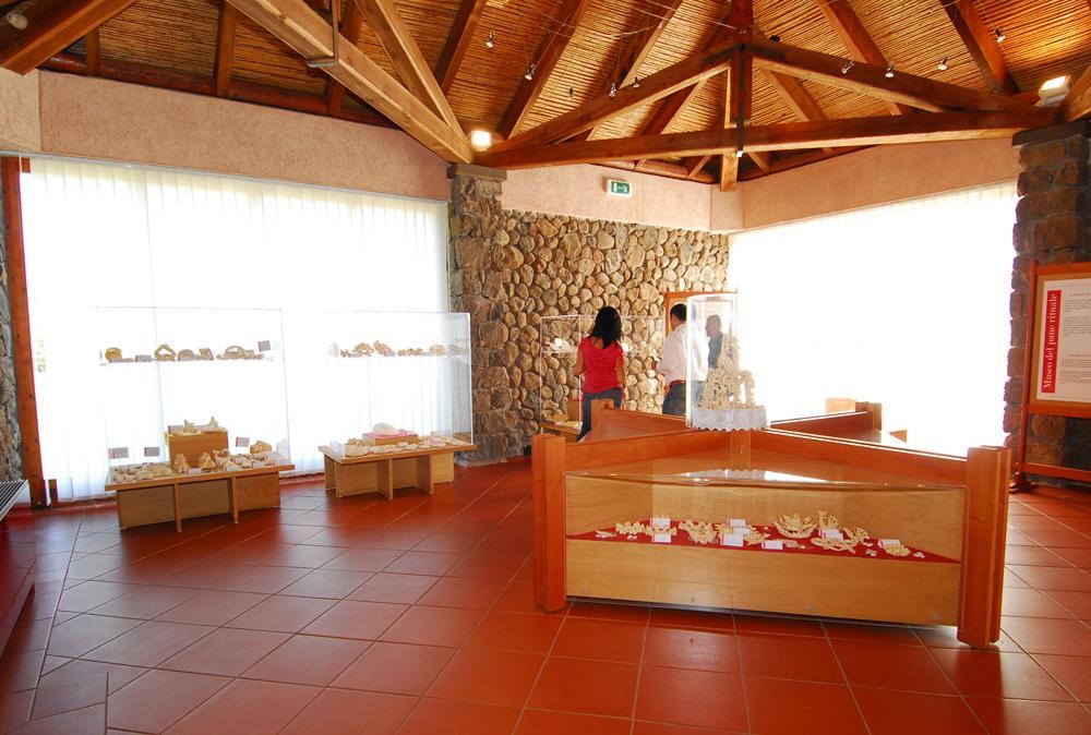Una sala del museo del pane di Borore