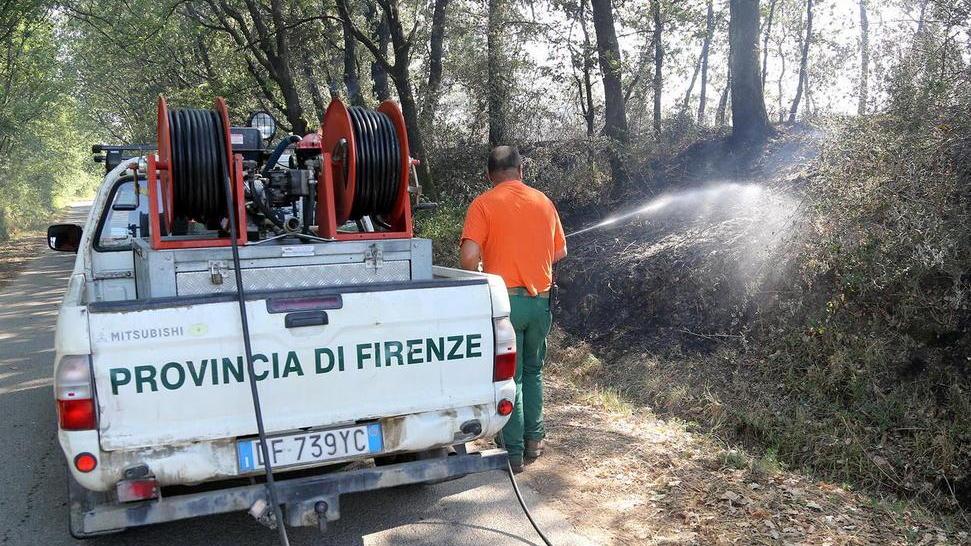 Stesso orario, stesso giorno parte il fuoco nel bosco