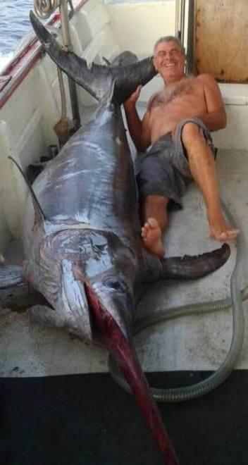 Catturato un pesce spada di oltre 160 chili 