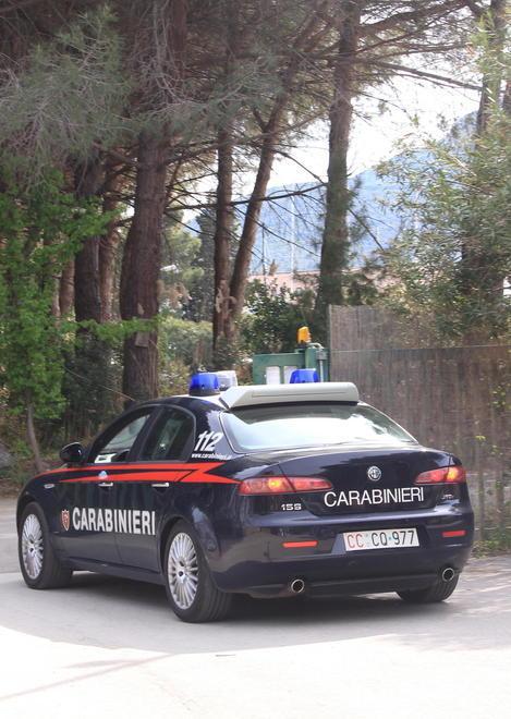 Quattro piante di marijuana nascoste in casa di un operaio