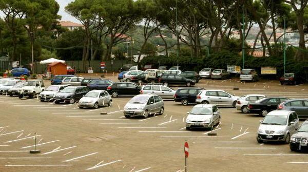 Parcheggio in pineta, nuovo sondaggio 