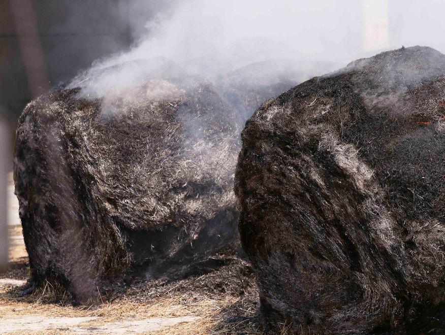 Le fiamme carbonizzano cento rotoballe 