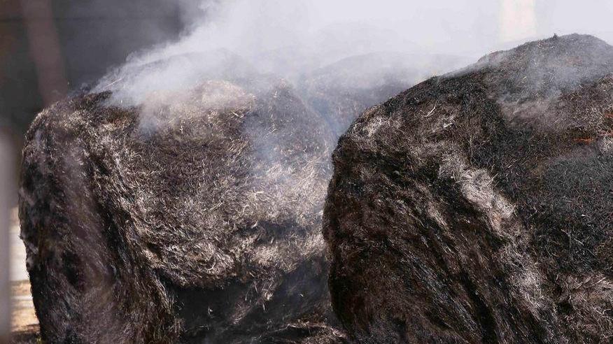 Le fiamme carbonizzano cento rotoballe