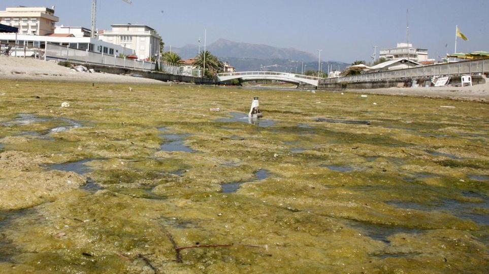 Fossa dell’Abate come uno stagno Turisti in fuga per il cattivo odore