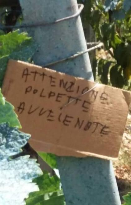 Sos polpette avvelenate con tanto di cartello 