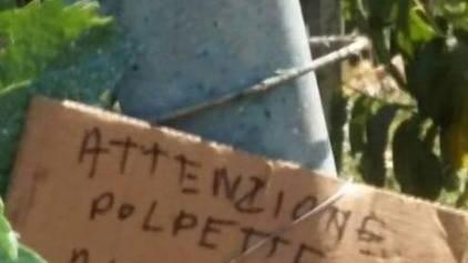 Sos polpette avvelenate con tanto di cartello