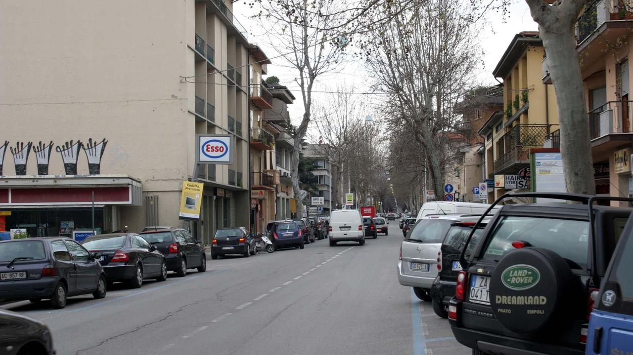 Malati gli alberi di viale Montegrappa (foto Batavia)