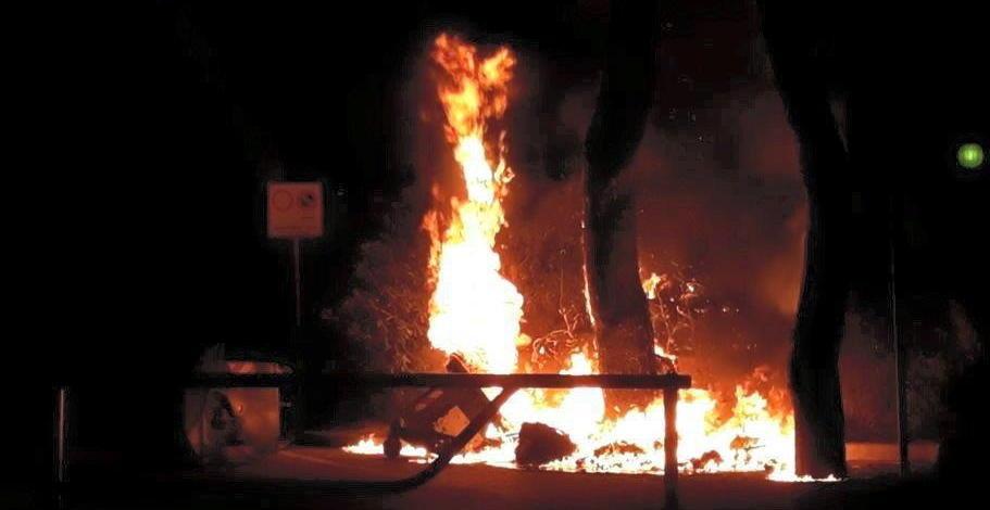 Rogo in pineta, presi i giovani vandali 