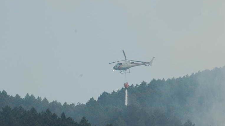 Nuovo incendio doloso nei boschi vicino alle case