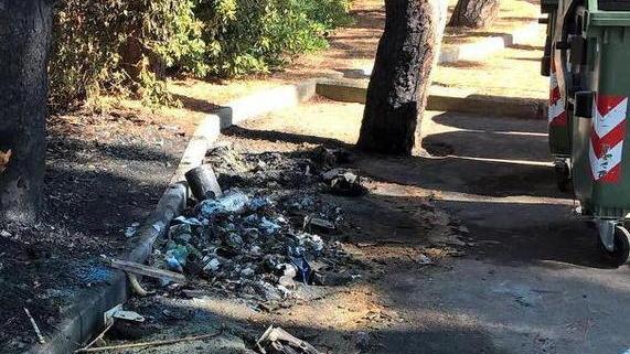 Alberi distrutti, ombrelloni sradicati