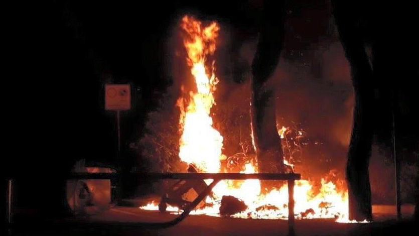 Rogo in pineta, presi i giovani vandali