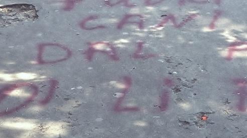 Il sindaco di Pattada: «Videosorveglianza anti vandali»