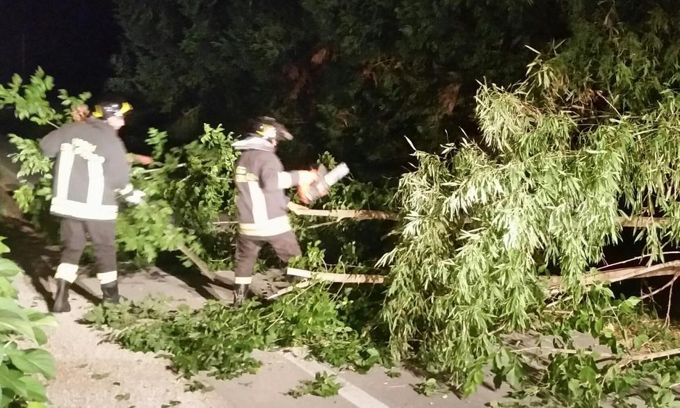 Crolla un albero in via Chiesa