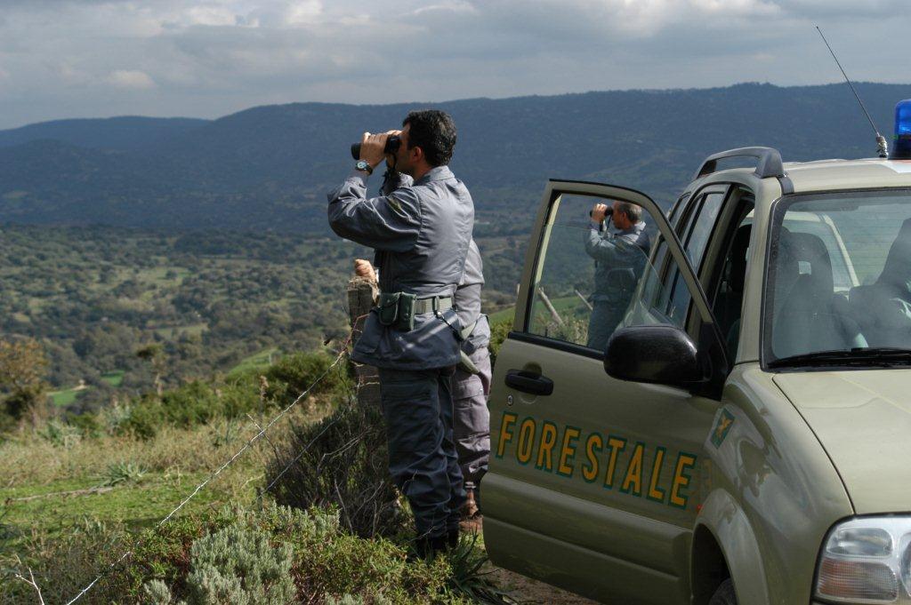 Una pattuglia del corpo forestale