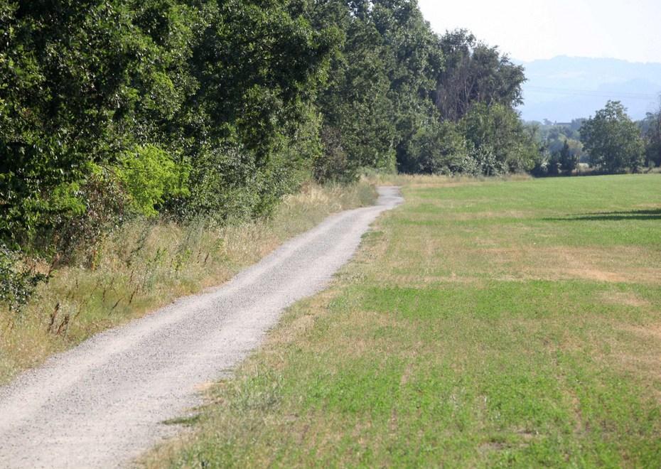 Prime segnalazioni dello stupratore 