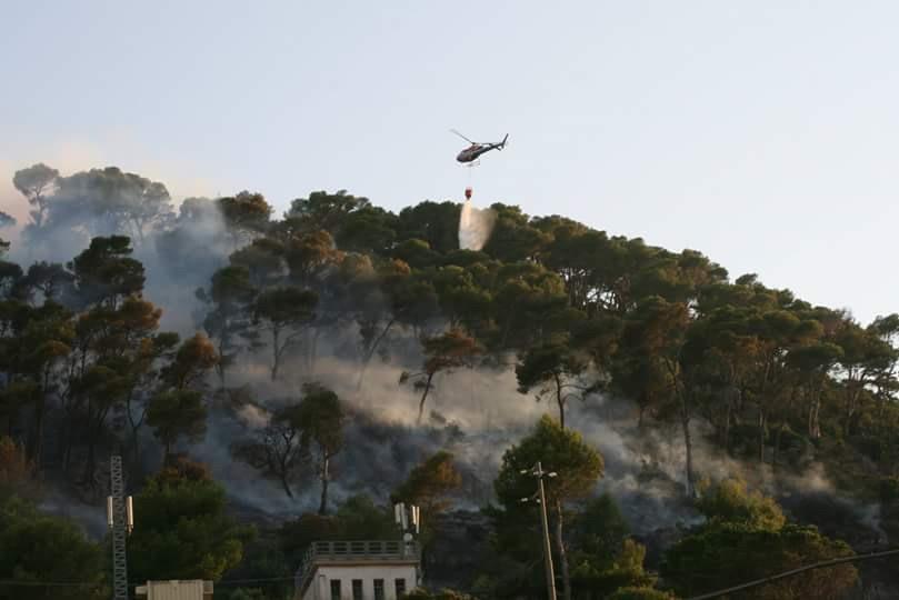 Un incendio al monte Margherita di Guspini