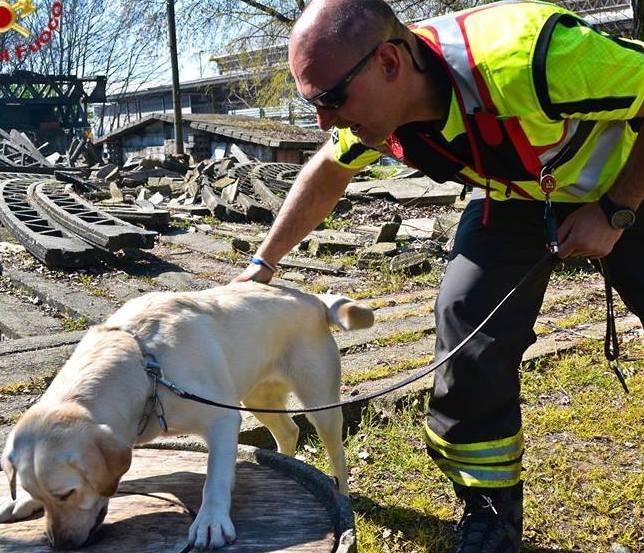 Precari ma indispensabili l’assurdo caso dei cinofili 