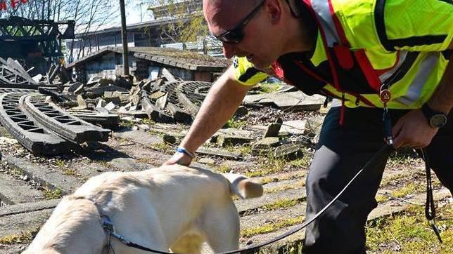 Precari ma indispensabili l’assurdo caso dei cinofili