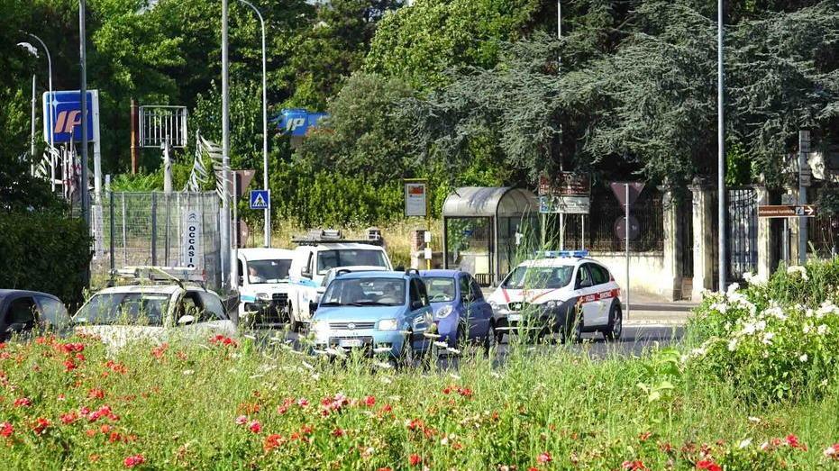 Nessuno cura più la rotonda verde