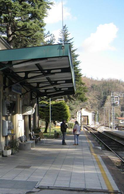 Fornaci-Castelnuovo a cadenza oraria i servizi tramite bus 