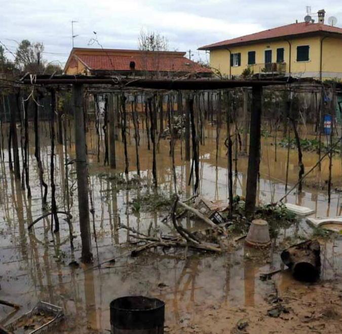 L’agricoltura: ancora i postumi del fango