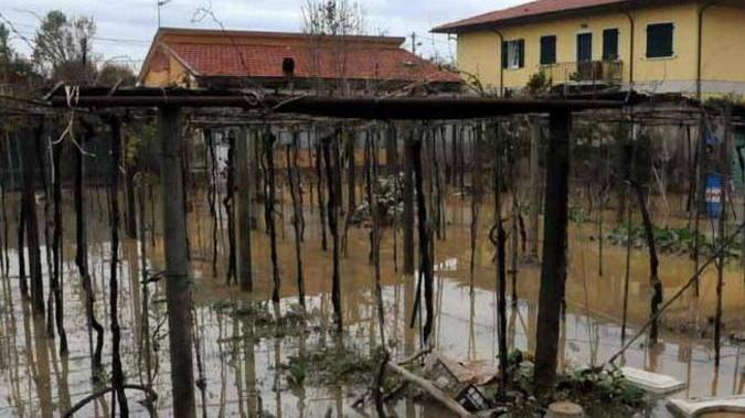 L’agricoltura: ancora i postumi del fango