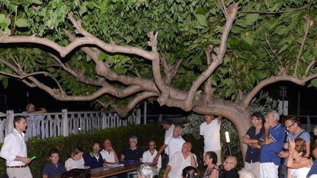Tallio: dieci mesi, nessuna soluzione