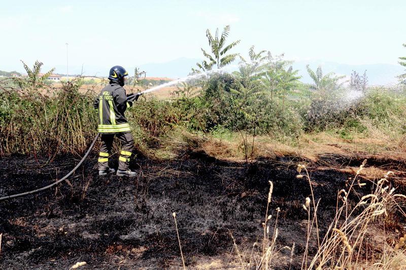 Nuovi roghi in campagna a Colle 