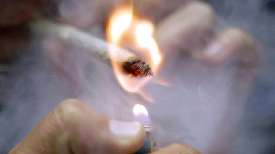 Mura: «La cannabis ogm è devastante»