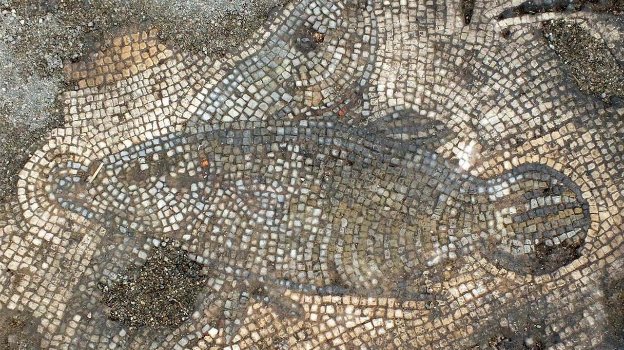 Dal mosaico di Vignale il particolare dei due pesci (foro PaBar)