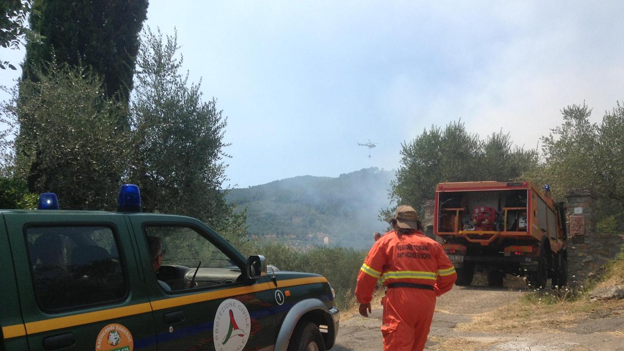 Vicopisano, ancora fiamme nel bosco