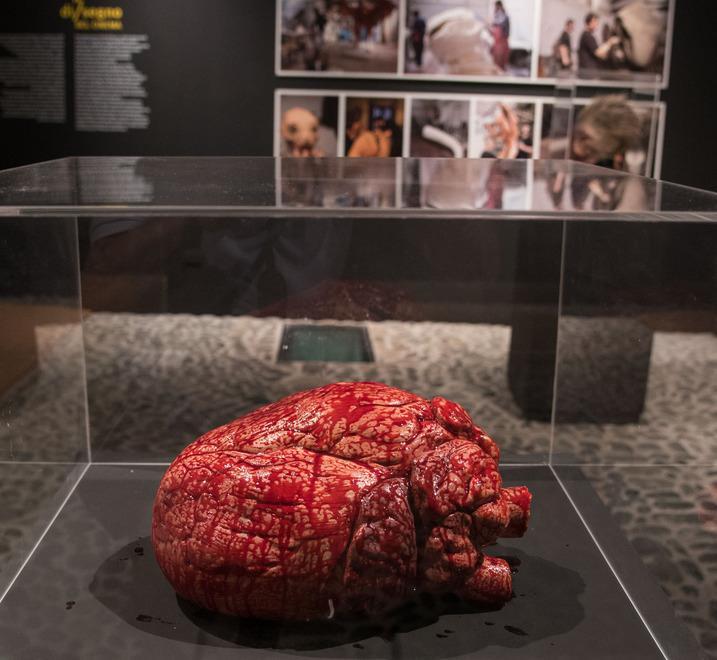 Il disegno del cinema Grandi registi in mostra a Cagliari 