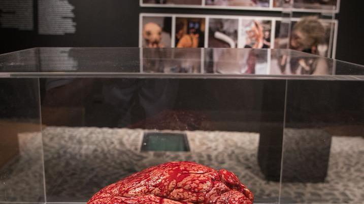 Il disegno del cinema Grandi registi in mostra a Cagliari