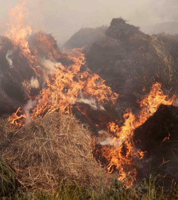 Incendio distrugge oltre 500 rotoballe 