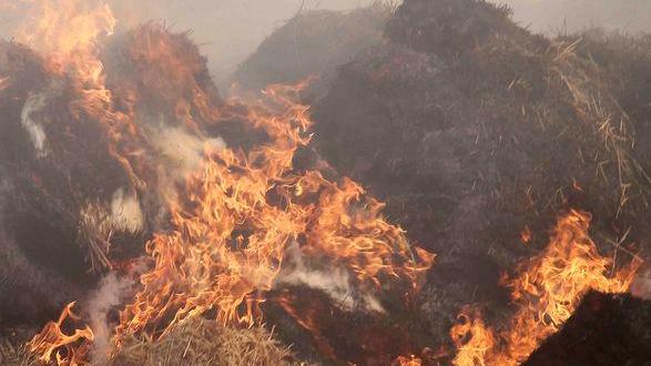 Incendio distrugge oltre 500 rotoballe 