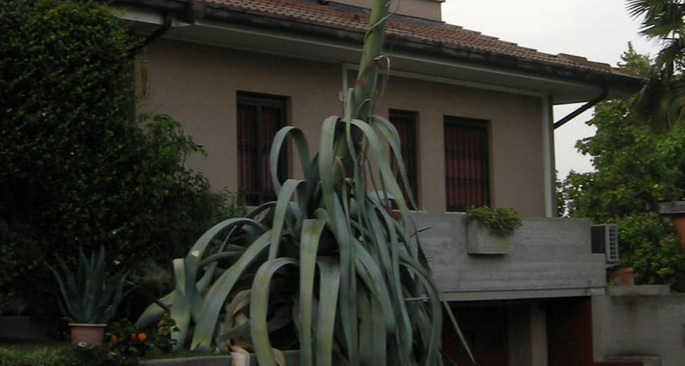 Venti chili di rame nel cortile di casa 