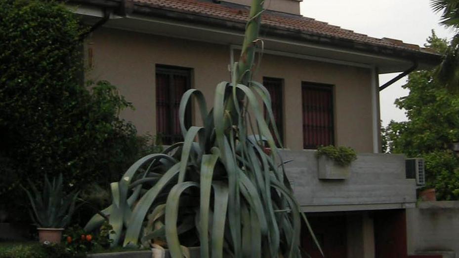Venti chili di rame nel cortile di casa