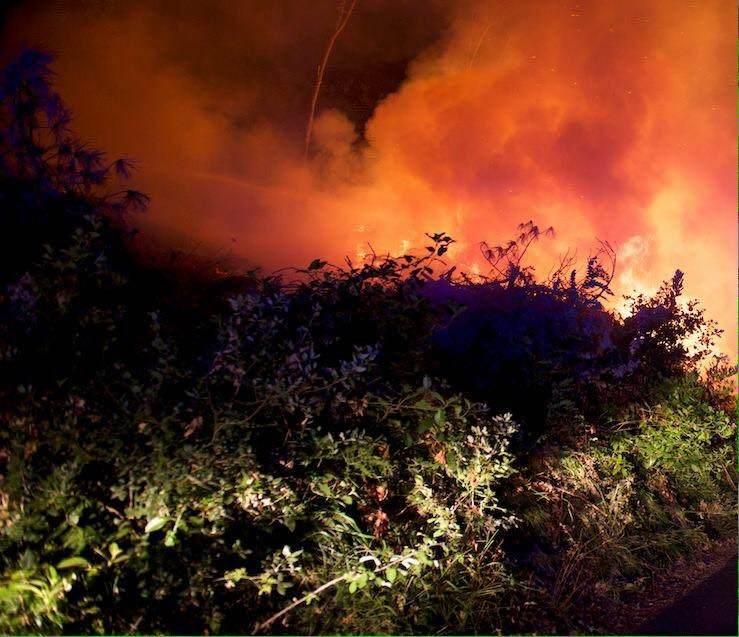 Le fiamme divampate venerdì sera viste da Villa Patrizia