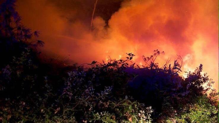 Le fiamme divampate venerdì sera viste da Villa Patrizia