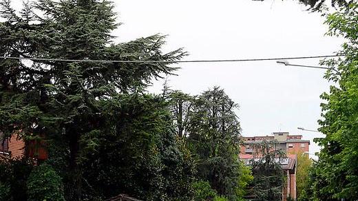 Modena, il cellulare costa troppo e allora spara