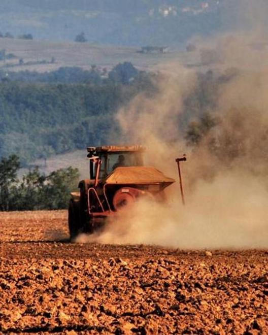 I problemi del comparto agro-pastorale, oggi un incontro