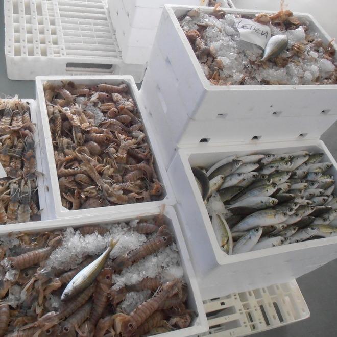 Scatta il fermo pesca: durerà 43 giorni 